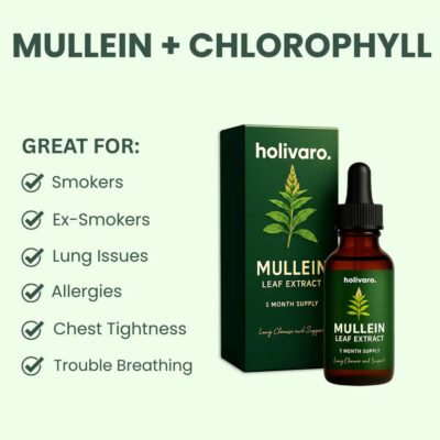 Holivaro Mullein Lung Support + Cleanse Drops